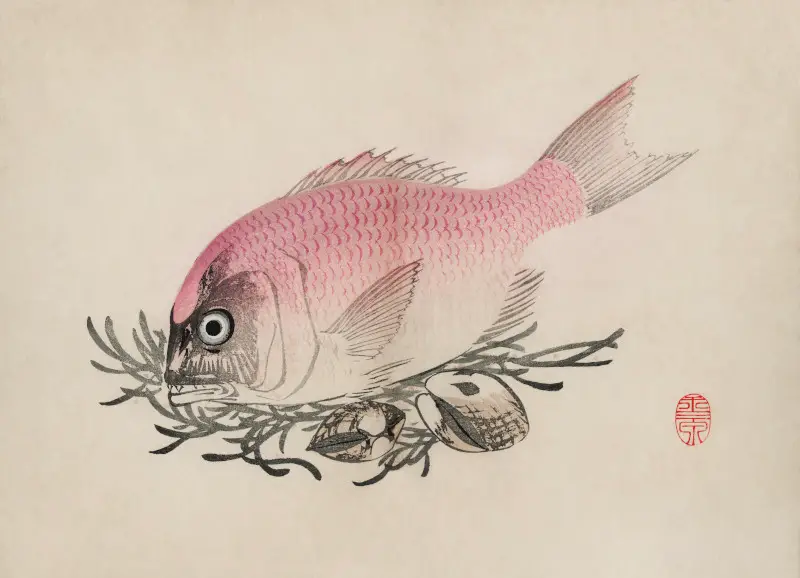 Ukiyo-e Illustration of Fish and Clams by Mochizuki Gyokusen